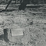 d 1d DALEchildren150