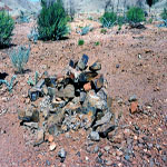 Croydon Goldfield Cemetery grave