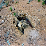 Croydon Goldfield Cemetery