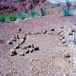 Croydon Goldfield Cemetery
