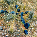 Edjudina Station cemetery