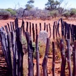 Mt Phillip Stn Gascoyne 