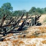 OBRIEN Thomas Charles