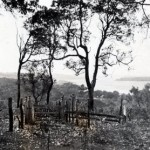 Augusta Pioneer Cemetery