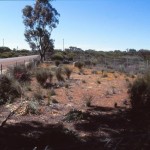 Ballidu Pioneer Cemetery