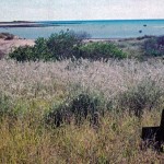 PRICE Charles Danvers