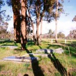 Bonshaw Cemetery Cranbrook 