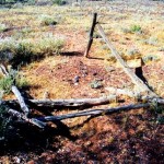 DOWNARD William Henry