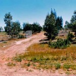 Kondinin Pioneer Cemetery