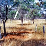 Yealering Pioneer Cemetery