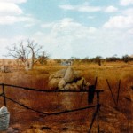 SKIPWORTH Augustus Frederick 