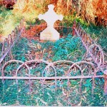 Lissadell Station Kimberley