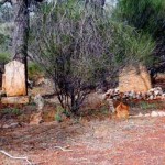 SUTHERLAND James & ODONNELL Thomas