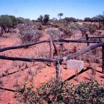 Mt Phillip Station Gascoyne