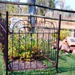 DURACK Patrick Michael