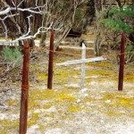 Eyre Bird Observatory near Twilight Cove