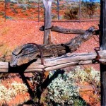 Horshoe near Peak Hill Meekatharra District