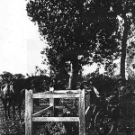 Ullaring Rocks townsite