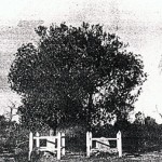 Ullaring Rocks townsite Menzies district