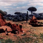 Yundamindra Cemetery